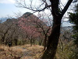 東屋辺りから振り返る