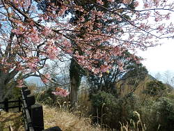 右下奥に片瀬山