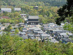 仁和寺が眺められる
