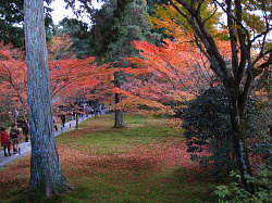 三千院