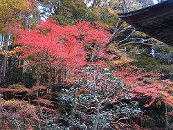 三千院