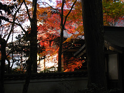 三千院