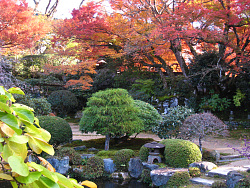 実光院