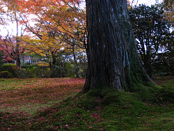 三千院