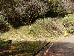車道から山道へ、この手前に本来出てきそうだ