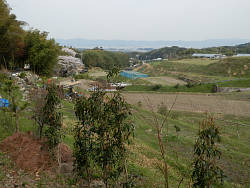 途中からの田園風景