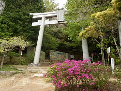 酒解神社鳥居