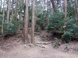山頂(山崎城本丸)入口