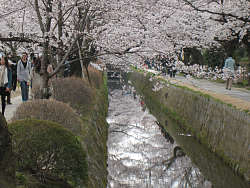 白川疎水道