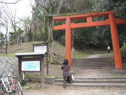 吉田神社北参道、左手に道
