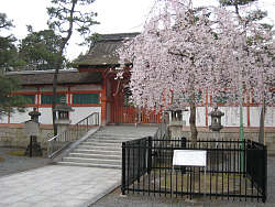大元宮
