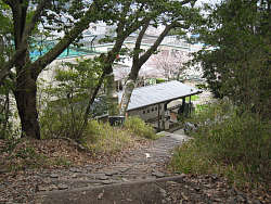 山道から保育園を見下ろす