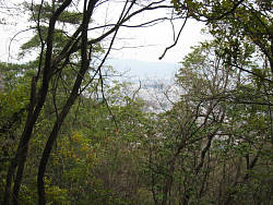 山頂手前の眺め