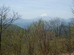 富士山が望める