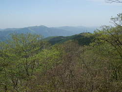 中央やや右に雨降山