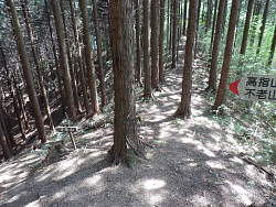 棚頭と高指山・不老山分岐