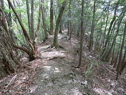 高指山からの尾根