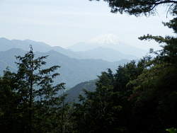 富士山もやや霞んでいるが見える