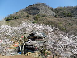 公園内から岩殿山岩壁