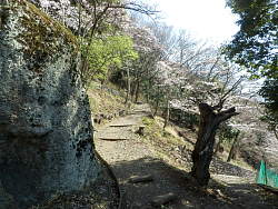 公園から少し登ったジグザグ道