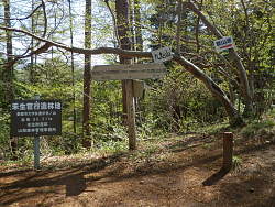 田野倉駅分岐