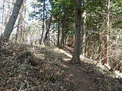 山頂への最後の道風景