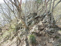 岩の露出した登山道
