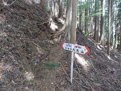 斜面を登る