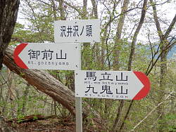沢井沢ノ頭にある標識