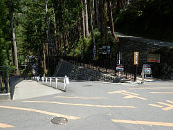 参道分岐