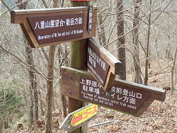 展望台下の分岐