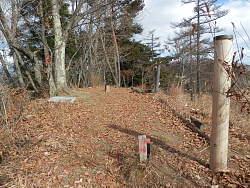 棚横手山山頂