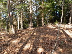 大滝山山頂