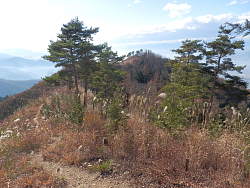 富士見台先のピークか
