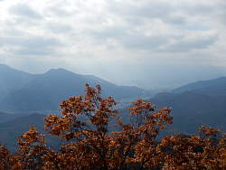 中央に富士山が見えるはずだった