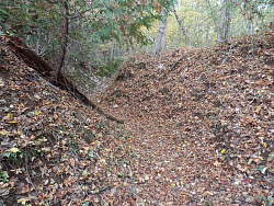 深く抉れた登山道