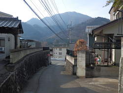 正面に富浜団地