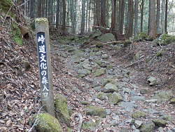 峠道文化の森入口の標し