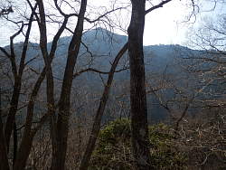 倉岳山