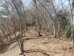 明るい尾根もある