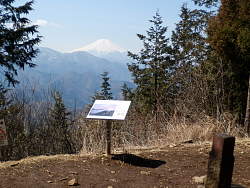 南西の富士山を望む