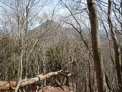 倉岳山が見える