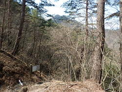 峠から登り始めた所での高畑山?