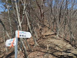 更に登りが続く