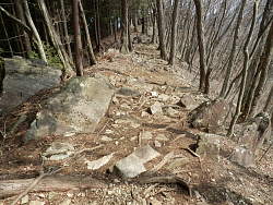 岩が目立つ