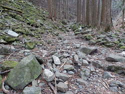 沢状の石の多い道