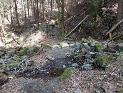 小さな沢の光景