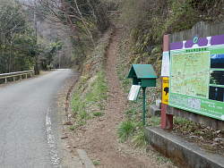 車道から登山口を見る