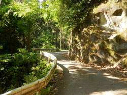 途中の風景