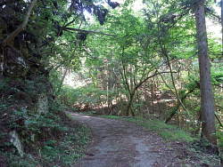 沢に沿って